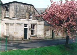 Trees can enhace the surroundings of towns and villages