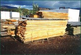 Consultancy to the timber industry