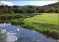 Woodlands can add a new hazard to a course