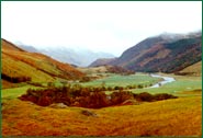 Potential for woodland expansion and development